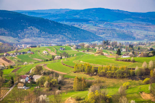 istock Spring rural landscape with flowering fruit trees on a sunny day 1405085267
