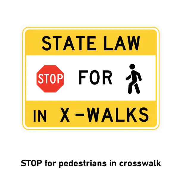 Vector illustration of Stop for pedestrians in crosswalk road sign Traffic sign on white background