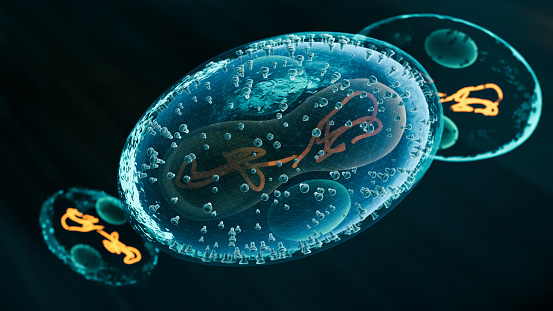 Viral Infection Monkeypox Virus - 3d rendered image. Abstract biomedical illustration. \nAntibody, Antigen, Vaccine technology concept.
