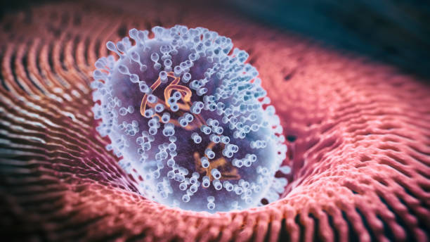 virusinfektion affenpockenvirus - wissenschaftliche mikroskopische aufnahme stock-fotos und bilder