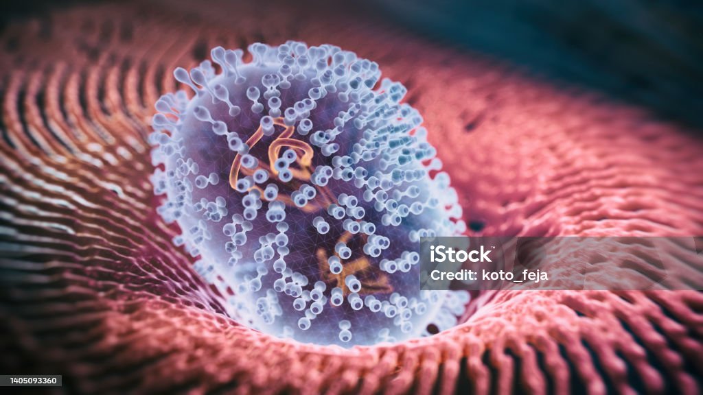 Viral Infection Monkeypox Virus Viral Infection Monkeypox Virus - 3d rendered image. Abstract biomedical illustration. 
Antibody, Antigen, Vaccine technology concept. Mpox Stock Photo