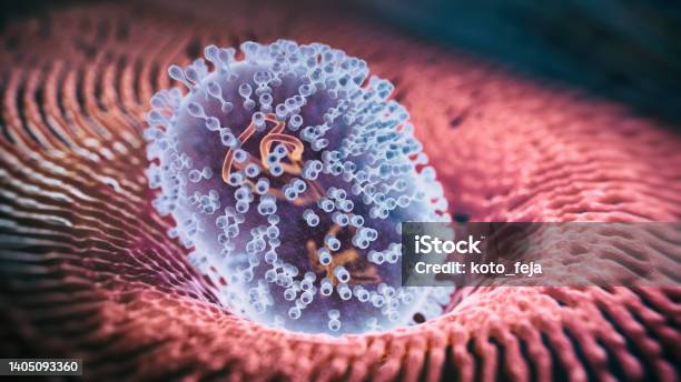 Viral Infection Monkeypox Virus Stock Photo - Download Image Now - Virus, Mpox, Epstein-Barr Virus