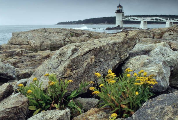 costa rocciosa a marshall point light - lighthouse new england maine marshall point lighthouse foto e immagini stock