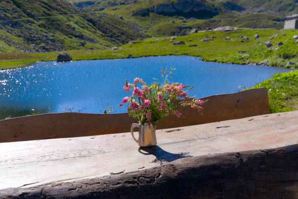 Scenic landscape with flower arrangement at Swiss mountain pass. Wooden table with wooden benches with jar and red flowers with lake in the background at Gotthard Pass on a sunny summer day. Photo taken June 25th, 2022, Gotthard Pass, Switzerland. gotthard pass stock pictures, royalty-free photos & images