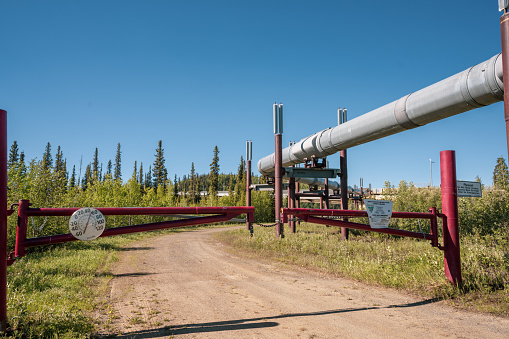 Trans Alaska pipeline along the Dalton Highway in winter at sunrise.