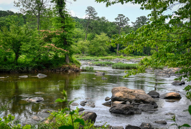 istock Haw River Flowery Island landscape 1405106247