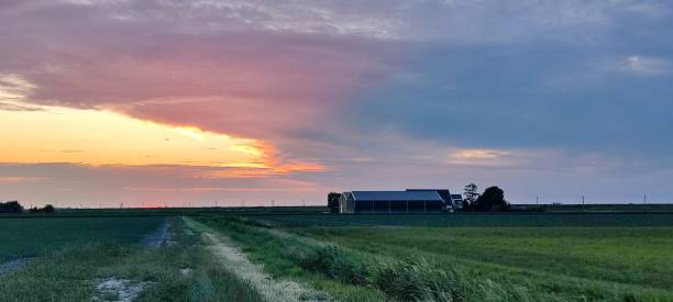 istock Panoramic view of a Dutch farm in the evening light 1405111841