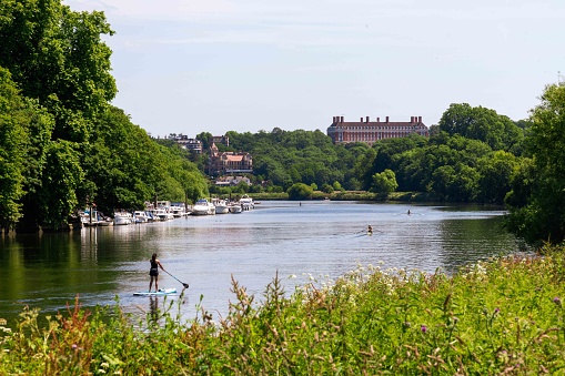 Paddle on the River Thames South of Richmond