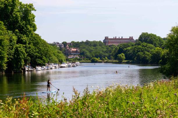 remar no rio tâmisa ao sul de richmond - richmond upon thames - fotografias e filmes do acervo