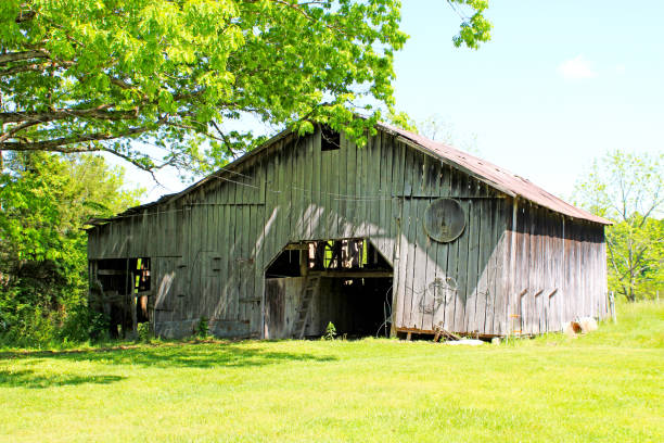 istock Old Barn in Kentucky 1405120753