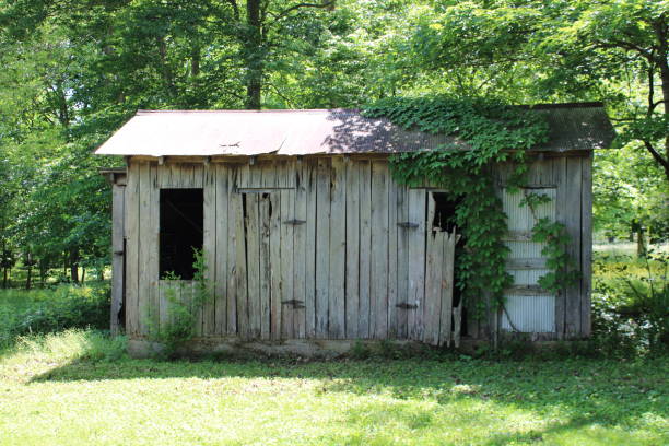 istock Old Barn in Kentucky 1405120758