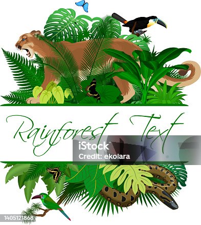 istock Jungle Rainforest Summer Tropical Leaves Wildlife Vector Design with puma, anaconda, toucan and butterflies 1405121868