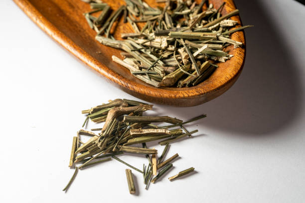istock chinese medicine Herba Andrographitis on white background 1405125781