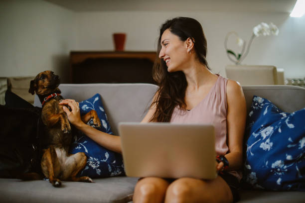 istock Working from home with pet dog 1405126681