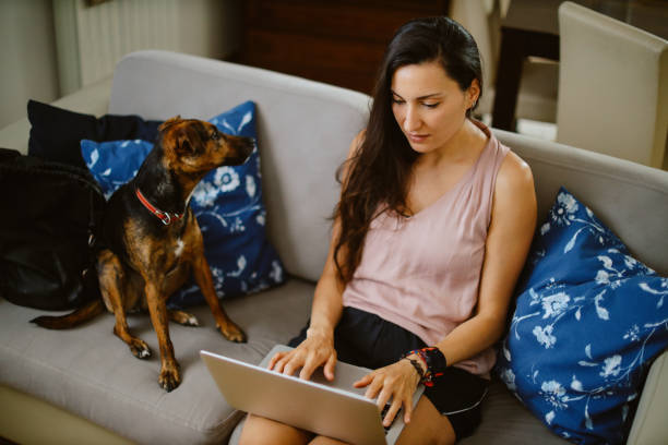 istock Working from home with pet dog 1405127289
