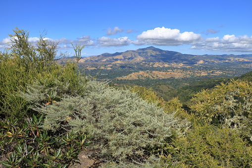 Mt Diablo looms above the skyline of the East Bay as seen from the Las Trampas hills