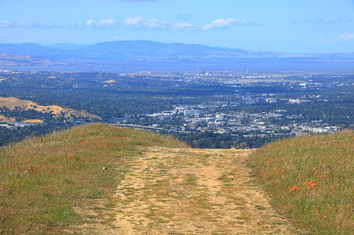 The ridge trail offers great views of downtown Walnut creek and the East Bay valleys