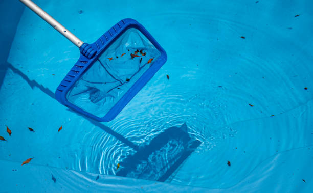 istock Someone using a long skimmer for removing fallen leaves and debris floating on the surface of the pool. 1405138375