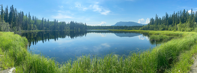 Scenic landscape at Schwabachers Landing, Grand Teton National Park, Wyoming, USA