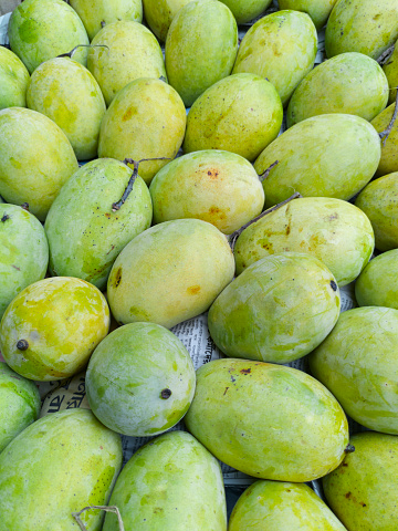 07-07-2022, Kolkata: Display of ripe yellow coloured  Indian mangoes (Langra variety, a popular mango cultivar available in northern India and Bihar during summer) at a roadside fruit stall in Kolkata, during summer.\nLangra is also known as Banarasi Langra. It is popular in international markets.