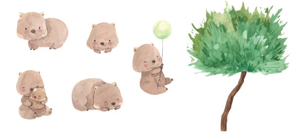 illustrazioni stock, clip art, cartoni animati e icone di tendenza di wombat ad acquerello, animali australiani. illustrazione per bambini - vombato