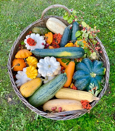 Autumn harvest Decoration in a basket