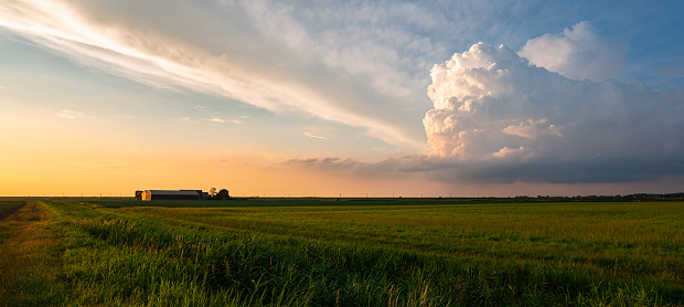 Idyllic image of a distant farm and storm cloud in the Dutch countryside during sunset.
