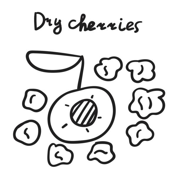 乾燥チェリー。 - dried cherries点のイラスト素材／クリップアート素材／マンガ素材／アイコン素材