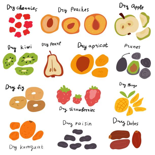 ilustrações de stock, clip art, desenhos animados e ícones de collection of dried fruits. - dried apple
