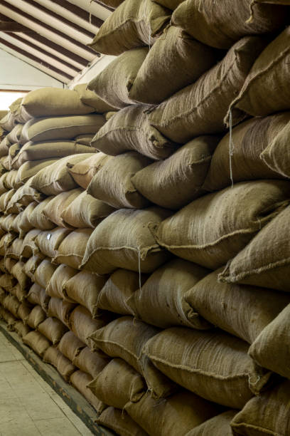 istock Stack Of Coffee Beans In Sacks At Warehouse - stock photo 1405166447
