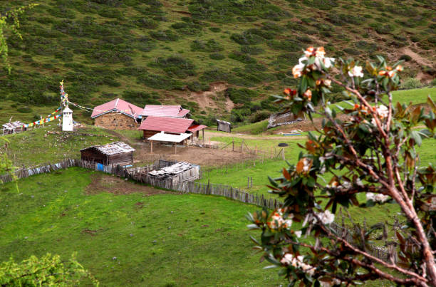 Tibetan residence 4,200 m asl