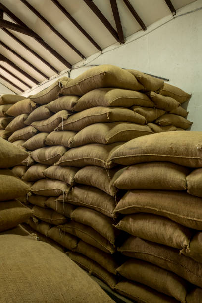 istock Stack Of Coffee Beans In Sacks At Warehouse - stock photo 1405166596