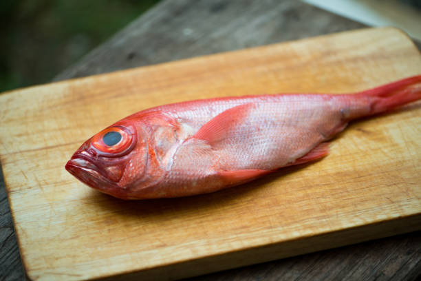 istock Kinmedai, japanese fresh whole red snapper 1405167285