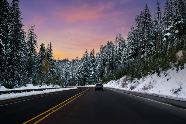 white snow road bäume fahren, straße zum winterlichen sonnenuntergang - city of sunrise sunrise tree sky stock-fotos und bilder