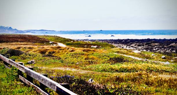 istock Pacific Ocean in Monterey California 1405171810