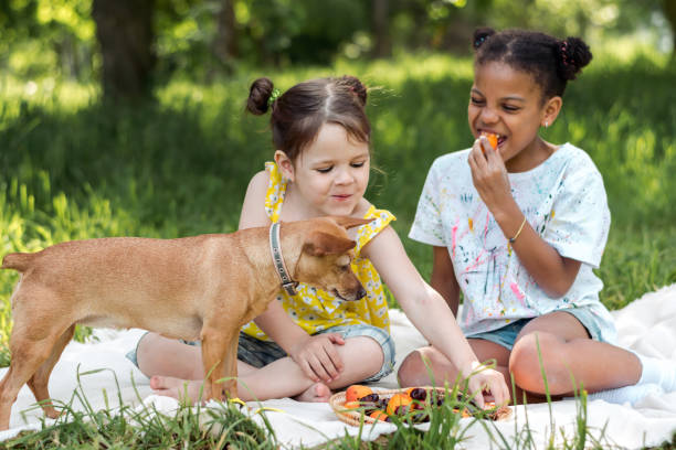 Caucasian and African-American girls eat fruit at a picnic on a summer day in the park.Diverse people,summer,childhood concept
