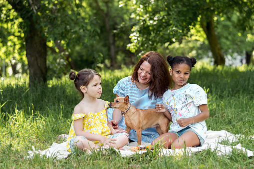 A multiracial family with a dog is having a picnic on a summer day.Mother and two daughters playing with the dog and having fun.Family, summer,diverse people concept.