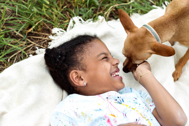 Happy African-American girl plays with a small dog lying on a blanket,top view.Summer holidays.Diverse people.