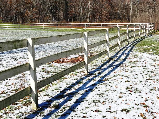 Shadow Of Fence On Snow Covered Land