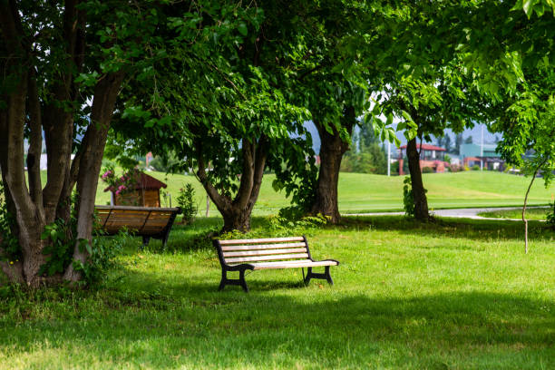 istock Park bench in the park 1405178758