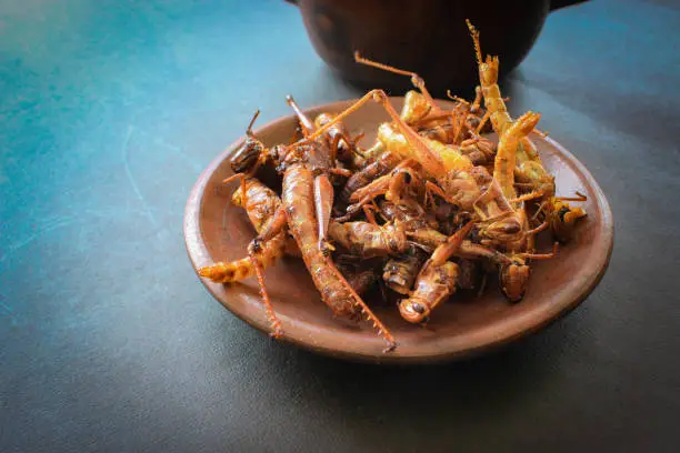 fried grasshopper or belalang goreng is traditional food from southeast asia, served with sambal, onion, garlic, chili on wood background