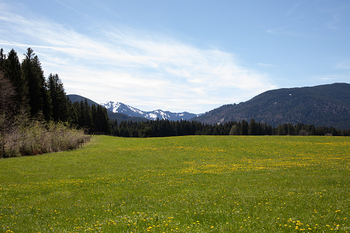 Green Meadow with mountains in the background part of the hiking trail going to Schleier Waterfall in Ammertal, Germany.
