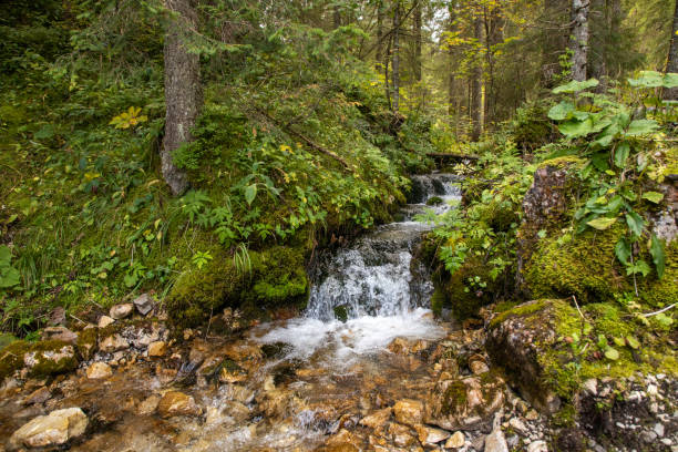 Waterfall in the forest at the european alps stock photo