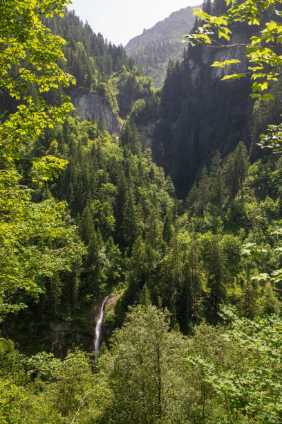 Waterfall at damuels, Raggal, Austria stock photo