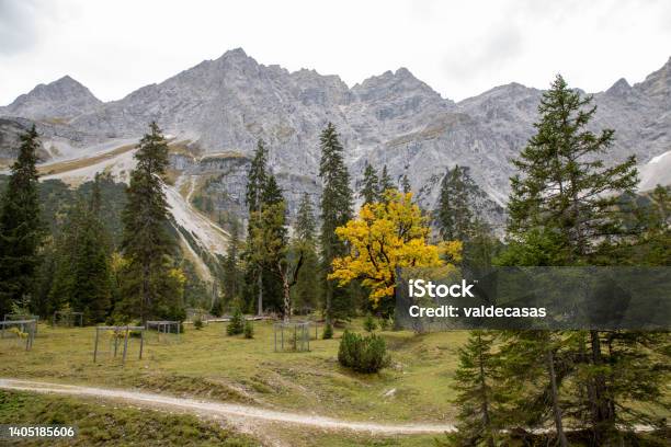 Small Ahornboden In Eng Austria Karwendel Mountains Stock Photo - Download Image Now