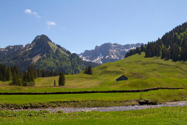 European Alps landscape with meadow on the front and mountains at the background stock photo