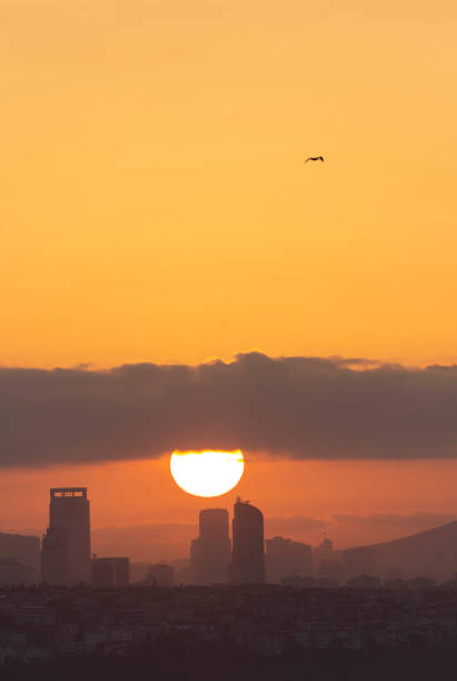 istock Sunrise in Istanbul 1405188152