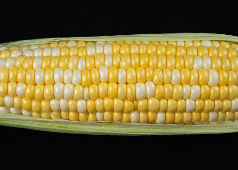 Corn Close-up on Black Background