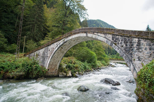 istock Old stone bridge and a powerful river in Rize province.Turkey 1405190779