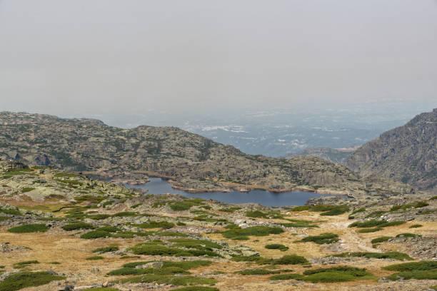 790+ Sierra De La Estrella Fotografías de stock, fotos e imágenes